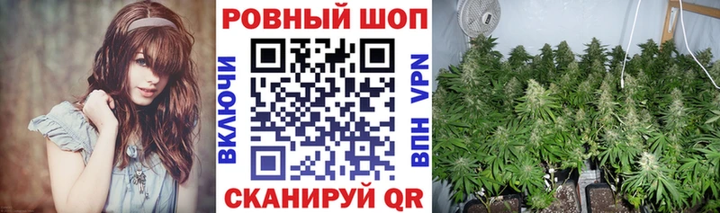 Купить закладку Кокаин НБОМе Конопля Меф Данилов