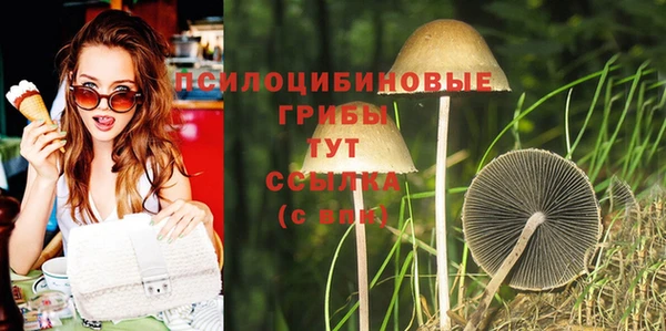 ГАЛЛЮЦИНОГЕННЫЕ ГРИБЫ Краснотурьинск
