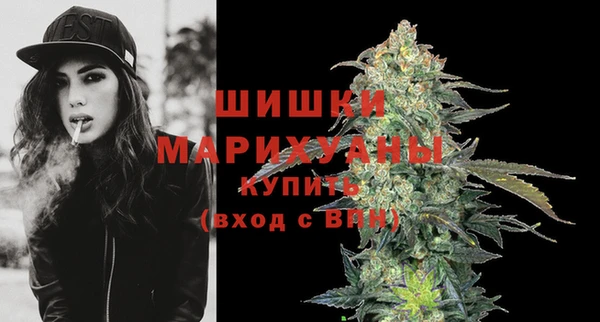 дживик Кулебаки